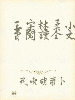 王宇林柔小说免费阅读全文最新章节