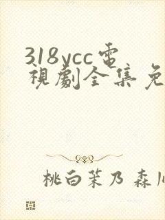 318ycc电视剧全集免费观看