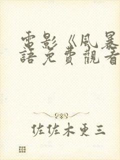 电影《风暴》国语免费观看封面