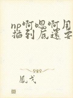 np啊嗯啊用力插到底还要