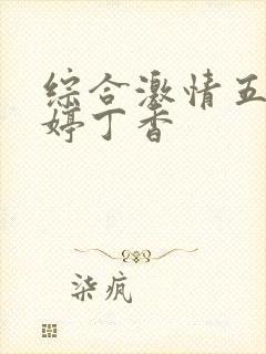 综合激情五月婷婷丁香