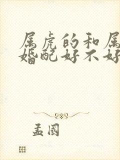 属虎的和属猪的婚配好不好封面