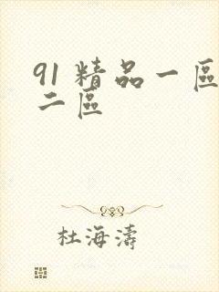 91 精品一区二区