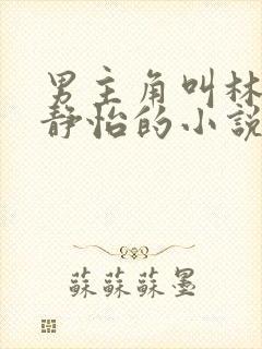男主角叫林皓李静怡的小说