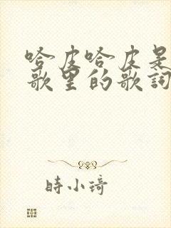 哈皮哈皮是什么歌里的歌词