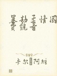 暴劫柔情国语免费观看