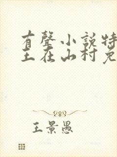 有声小说特种兵王在山村免费听