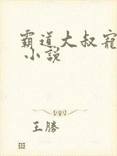 霸道大叔宠甜妻 小说