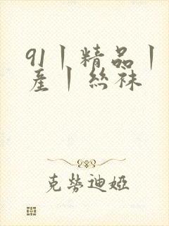 91丨精品丨国产丨丝袜