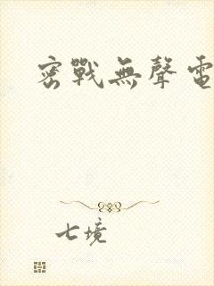 密战无声电视剧封面