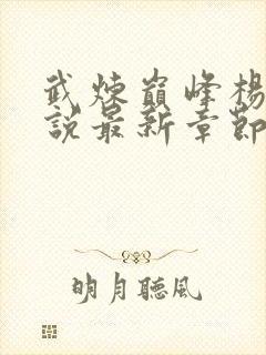 武炼巅峰杨开小说最新章节列表最