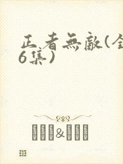 正者无敌(全36集)