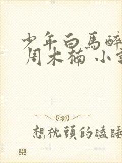 少年白马醉春风 周木楠 小说封面