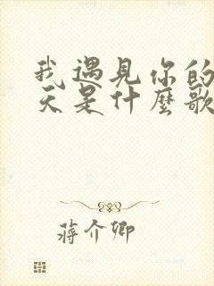 我遇见你的那一天是什么歌里的歌词