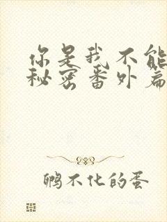 你是我不能说的秘密番外篇两年后