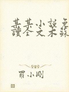 某某小说免费阅读全文木苏里