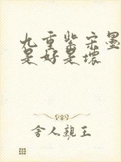 九重紫宋墨弟弟是好是坏封面