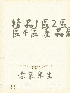 精品1区2区3区4区产品乱码封面