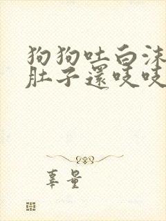 狗狗吐白沫黏液肚子还吱吱响不拉稀怎么治疗封面