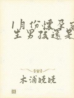 1月份怀孕容易生男孩还是女孩