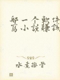 哪一个软件可以写小说赚钱封面