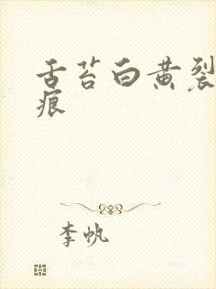 舌苔白黄裂纹齿痕