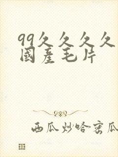 99久久久久久国产毛片封面