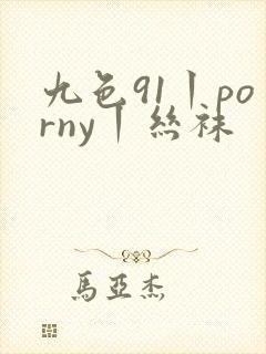 九色91丨porny丨丝袜