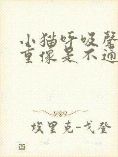 小猫呼吸声音粗重像是不通气封面