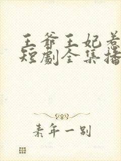 王爷王妃惹不得短剧全集播放