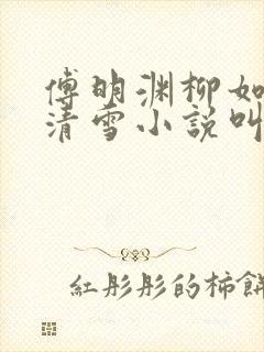 傅明渊柳如嫣林清雪小说叫什么名字