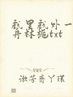 戏里戏外一叶孤舟林栀txt