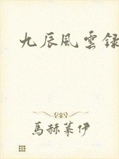 九辰风云录阳辰