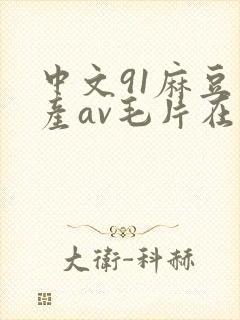中文91麻豆国产av毛片在线