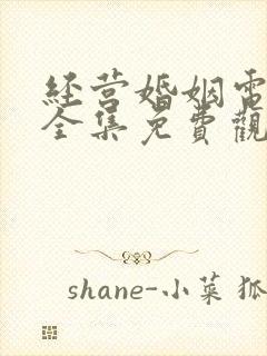 经营婚姻电视剧全集免费观看高清