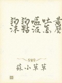 狗狗呕吐黄水泡沫粘液怎么了