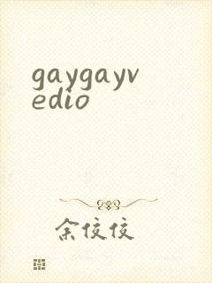 gaygayvedio