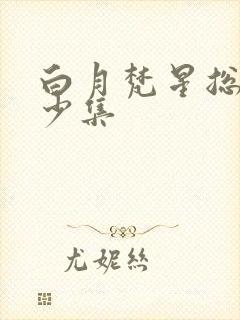 白月梵星总共多少集