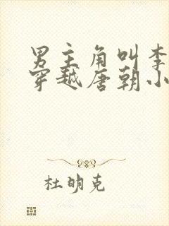 男主角叫李轩的穿越唐朝小说