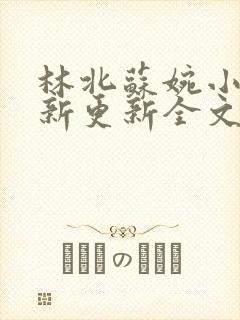 林北苏婉小说最新更新全文免费阅读