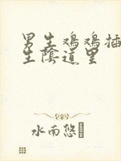 男生鸡鸡插进女生阴道里