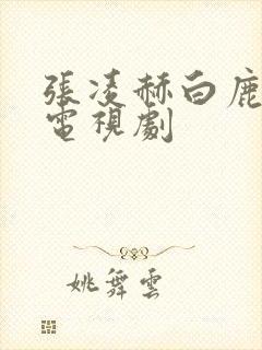 张凌赫白鹿主演电视剧