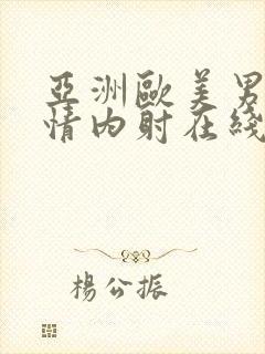 亚洲欧美男人激情内射在线