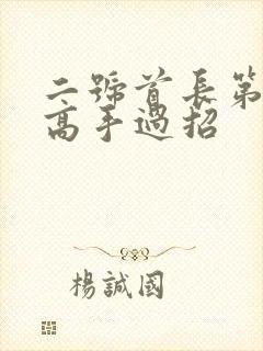二号首长第四部高手过招