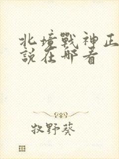 北境战神正版小说在哪看