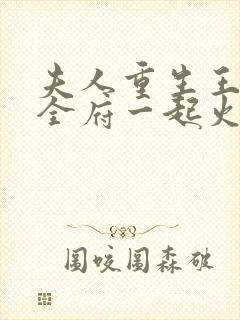 夫人重生王爷带全府一起火葬场的小说封面