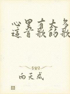 心里有太多的苦这首歌的歌词封面