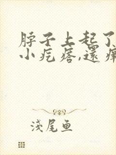 脖子上起了好多小疙瘩,还痒痒,是怎么回事