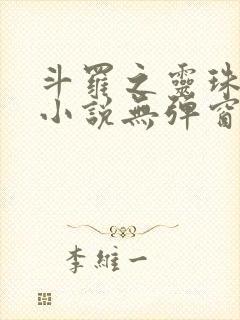 斗罗之灵珠神剑小说无弹窗全文免费阅读