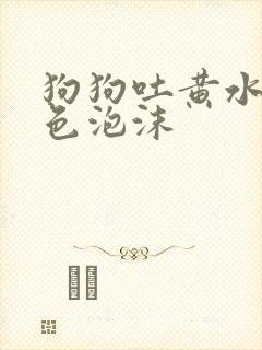 狗狗吐黄水带白色泡沫